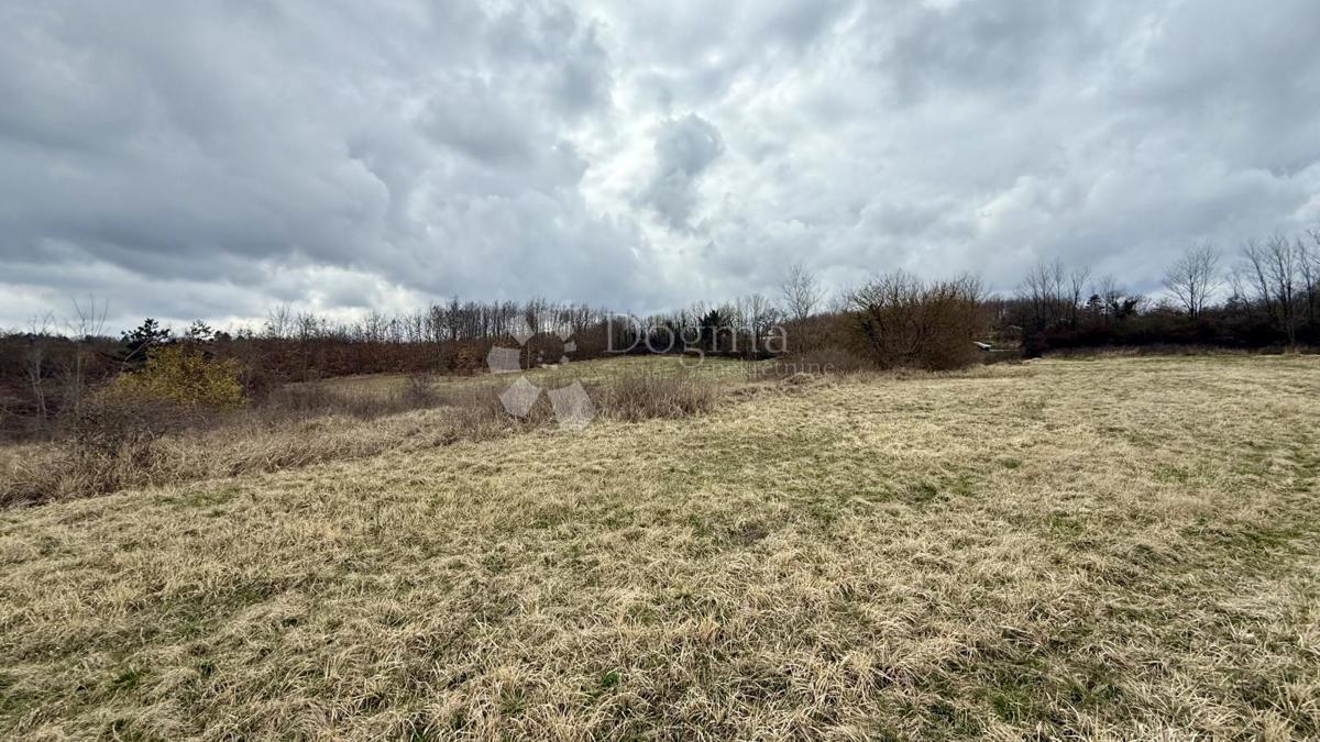 Kmetijsko zemljišče Bazgalji, Gračišće, 61.785m2