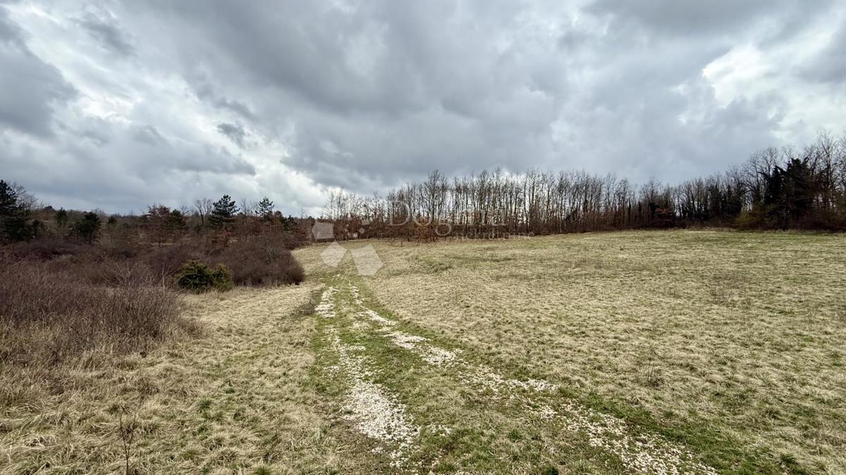 Kmetijsko zemljišče Bazgalji, Gračišće, 61.785m2