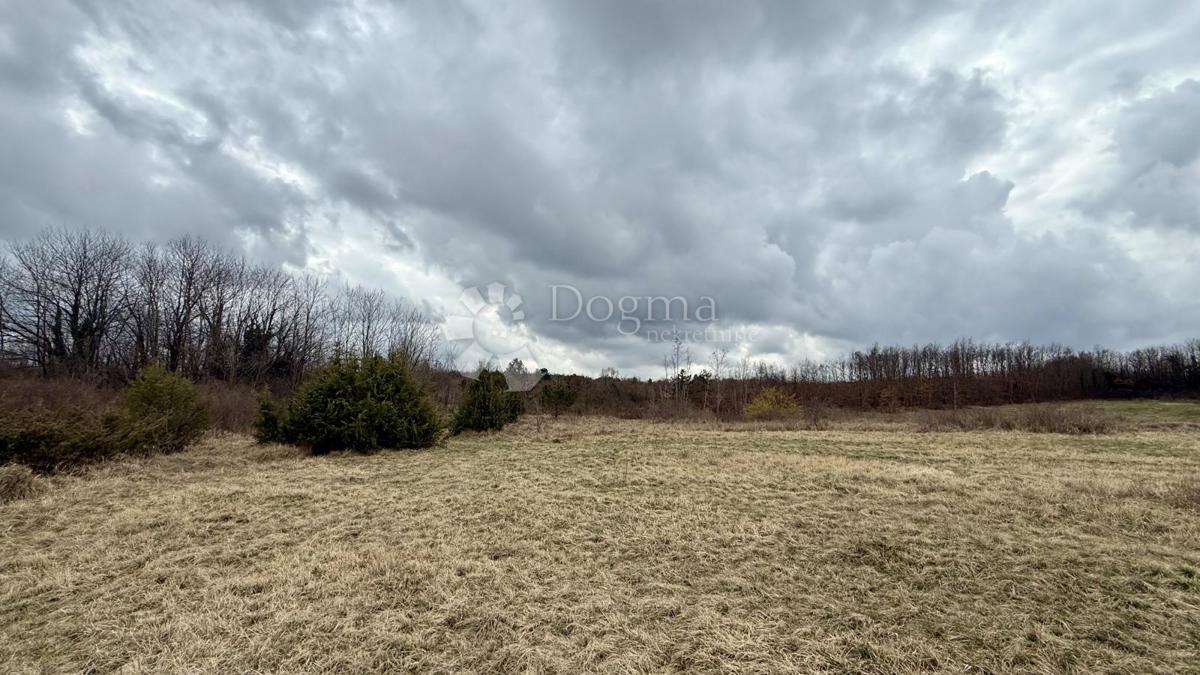 Kmetijsko zemljišče Bazgalji, Gračišće, 61.785m2