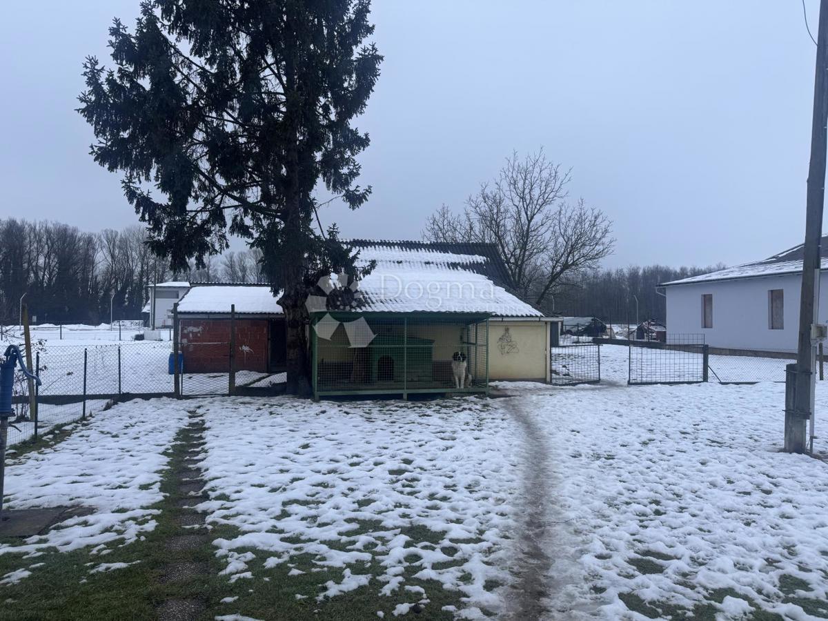 Hiša Otok Virje, Cestica, 120m2