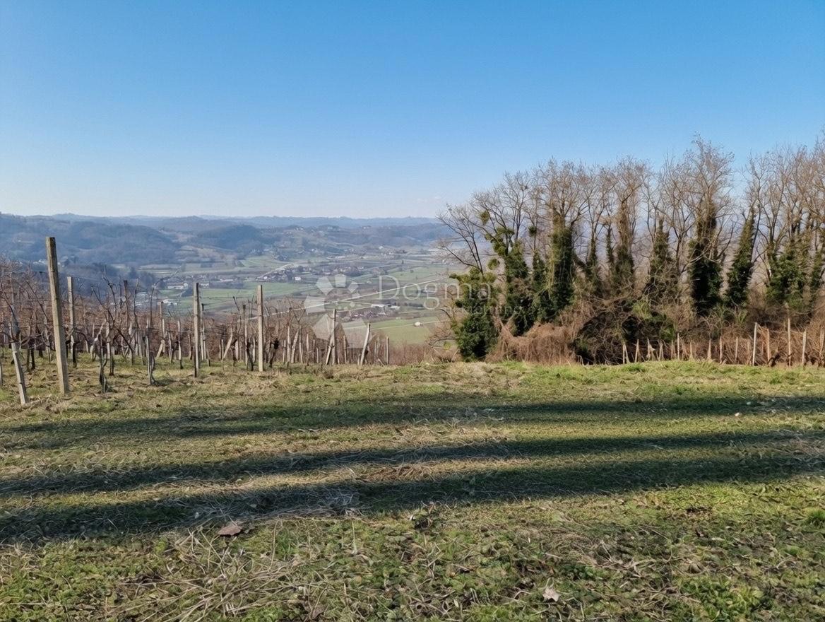 Kmetijsko zemljišče Donja Pačetina, Sveti Križ Začretje, 525m2