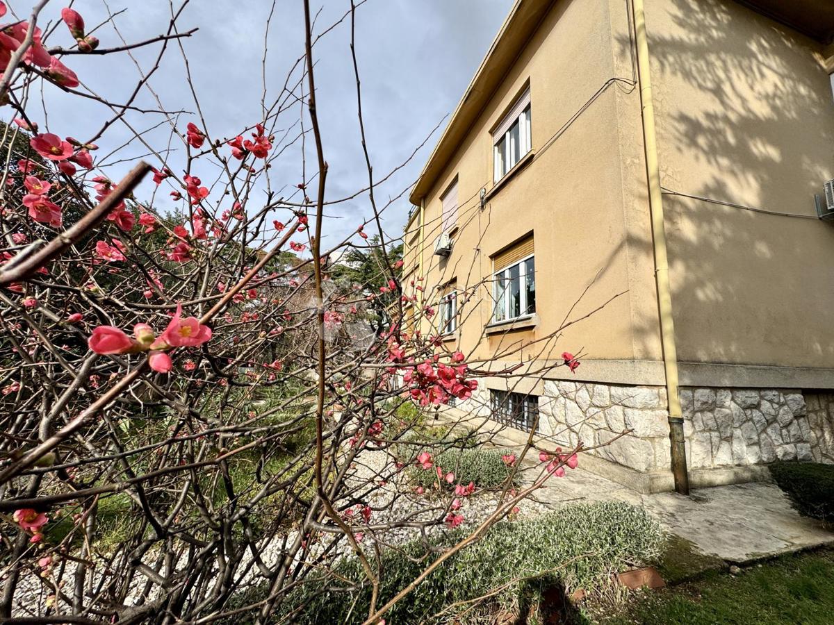 Stanovanje Pećine, Rijeka, 163,45m2