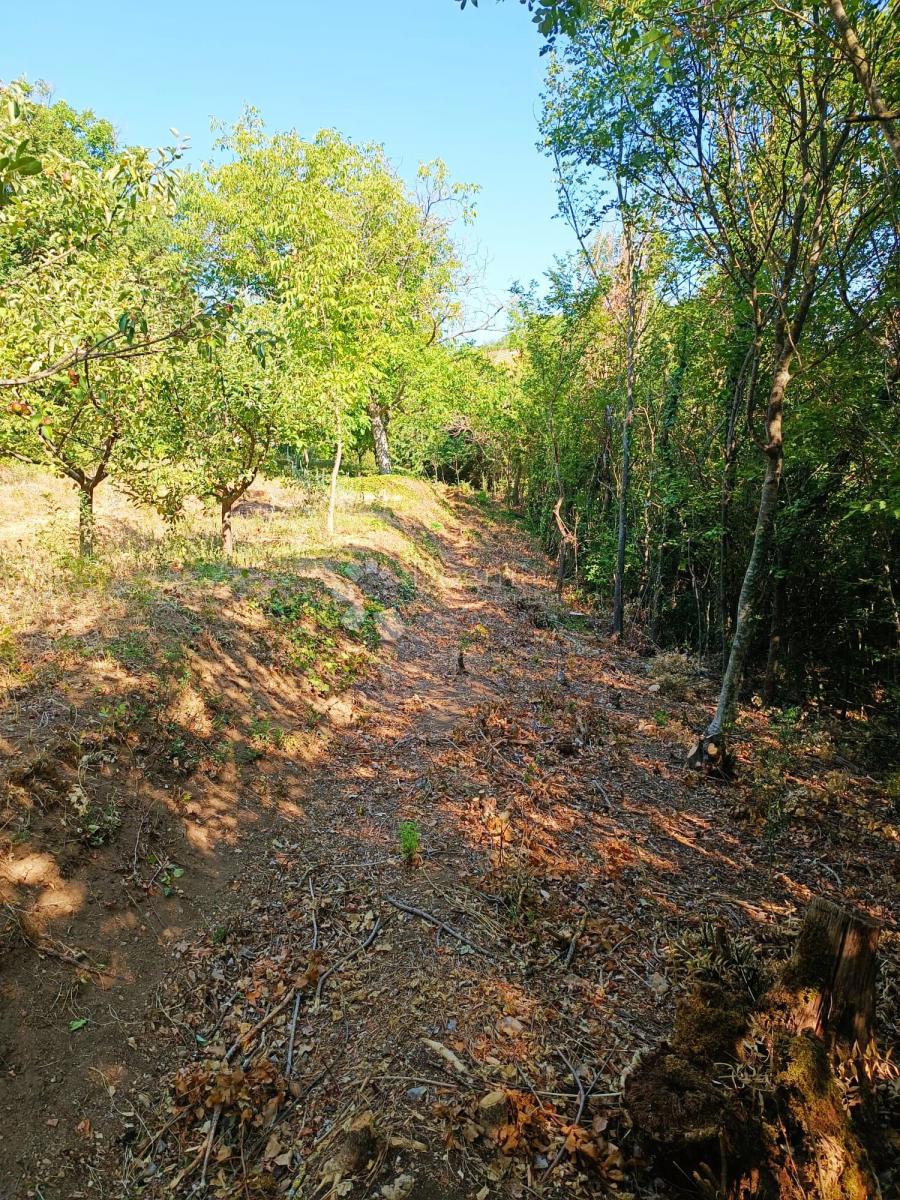 Hiša Glavice, Sinj, 94m2