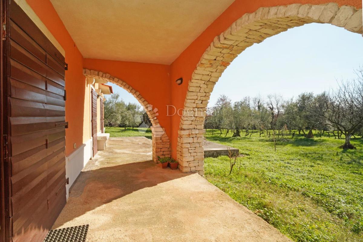 Hiša Brtonigla, Brtonigla, Brtonigla, Istarska županija, 230m2