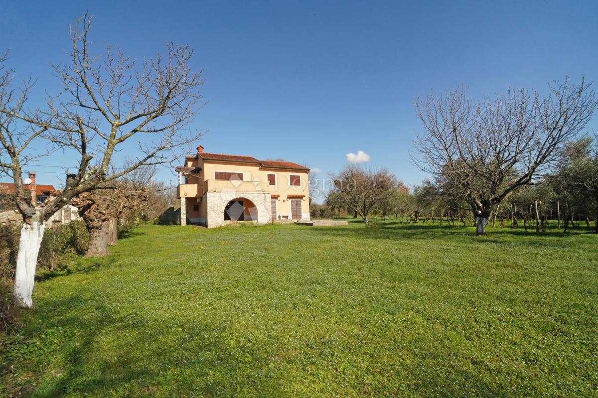 Hiša Brtonigla, Brtonigla, Brtonigla, Istarska županija, 230m2