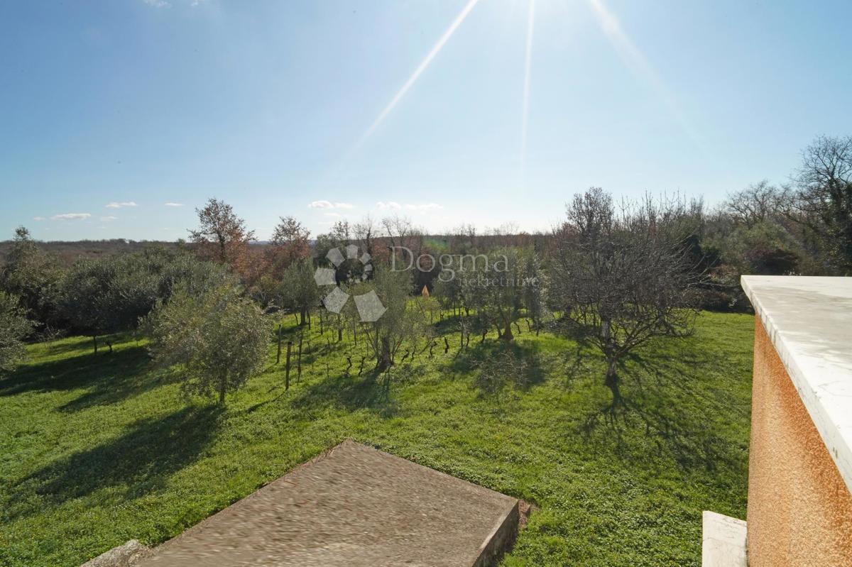 Hiša Brtonigla, Brtonigla, Brtonigla, Istarska županija, 230m2