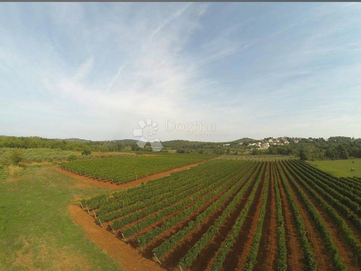 Zazidljivo zemljišče Fuškulin, Poreč, 8.596m2