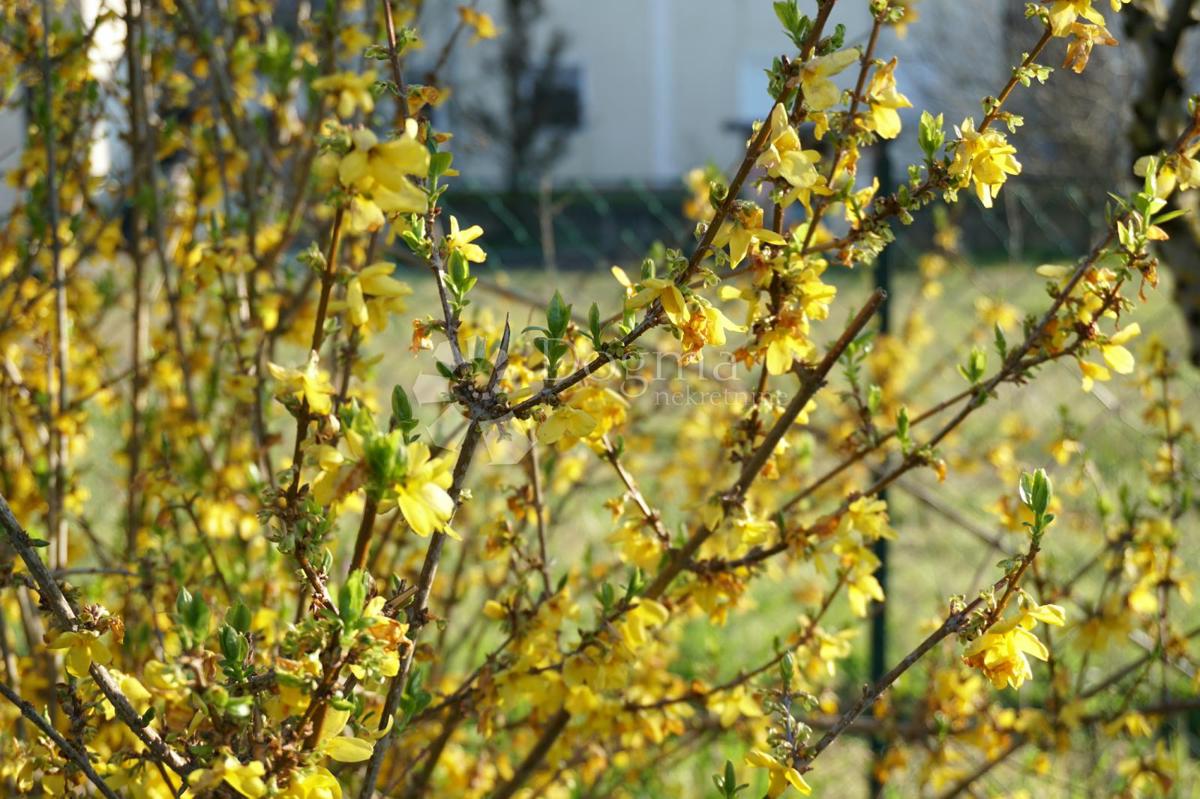 Zemljišče Štinjan, Pula, 3.300m2