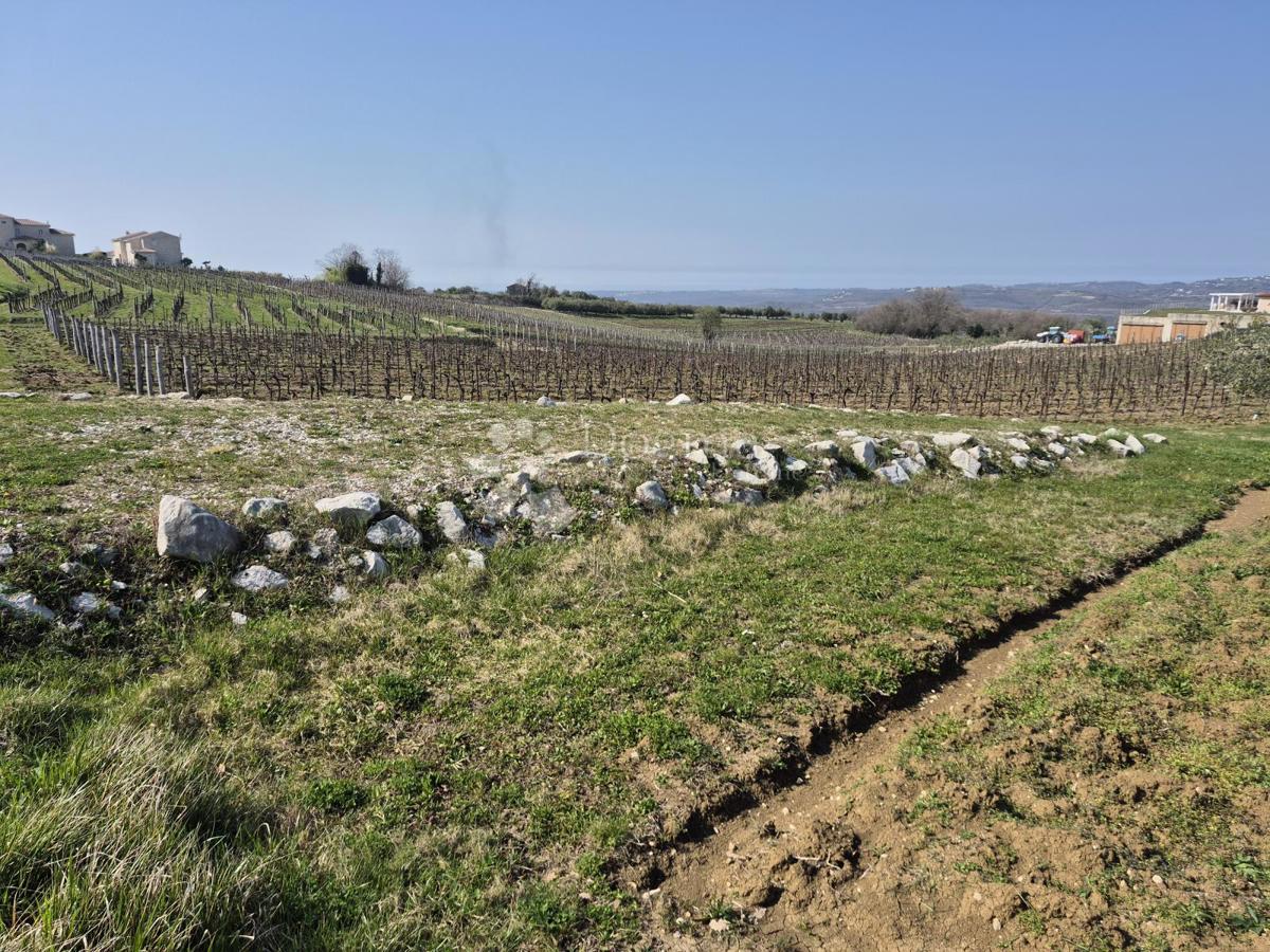 Zazidljivo zemljišče Nardući, Vižinada, 1.583m2