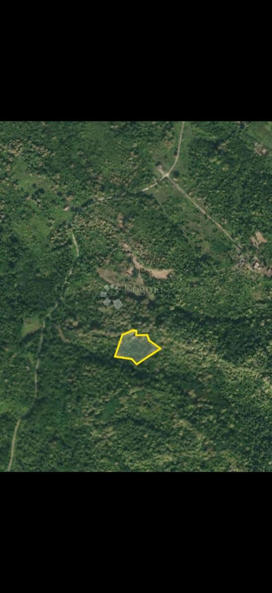 Kmetijsko zemljišče Bojna, Glina, 15.686m2