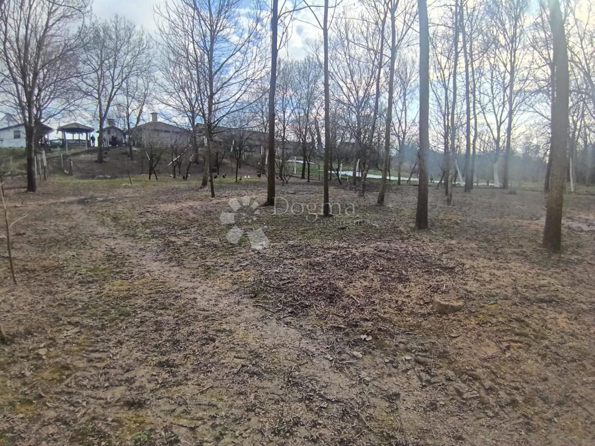 Hiša Gornje Predrijevo, Sopje, 120m2