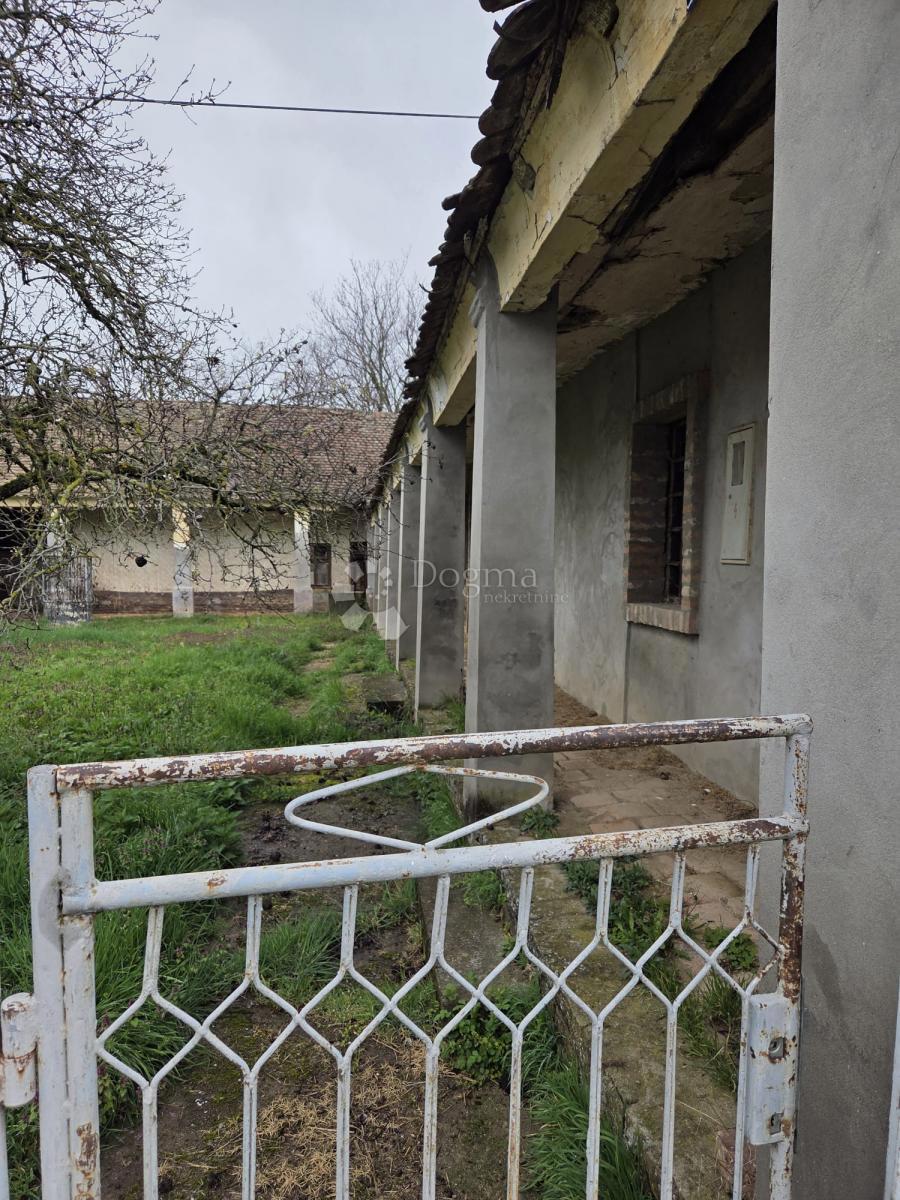 Hiša Beli Manastir, 325m2