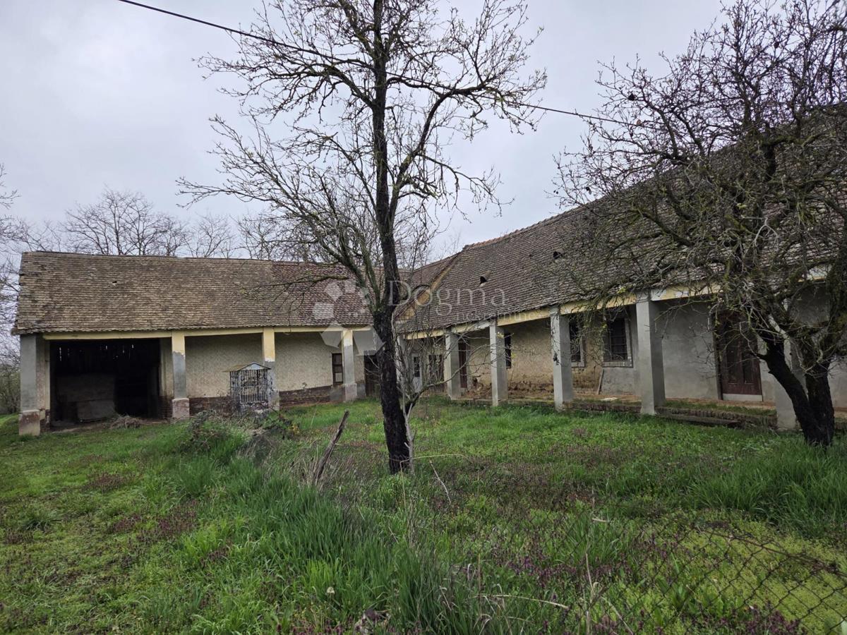 Hiša Beli Manastir, 325m2