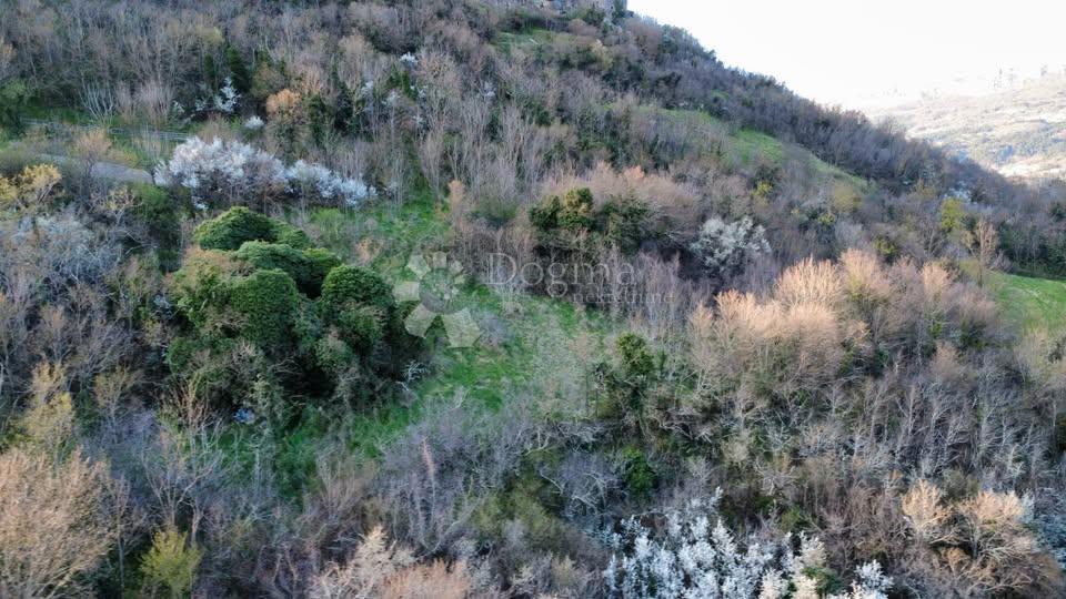 Hiša Vrh, Buzet, 40m2