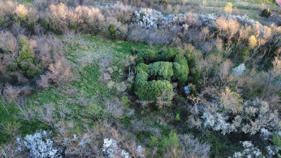 Hiša Vrh, Buzet, 40m2