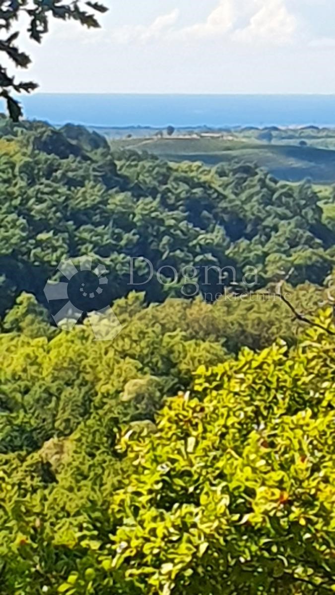 Zemljišče Buje, 18.000m2