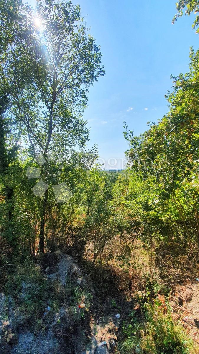 Zemljišče Buje, 18.000m2