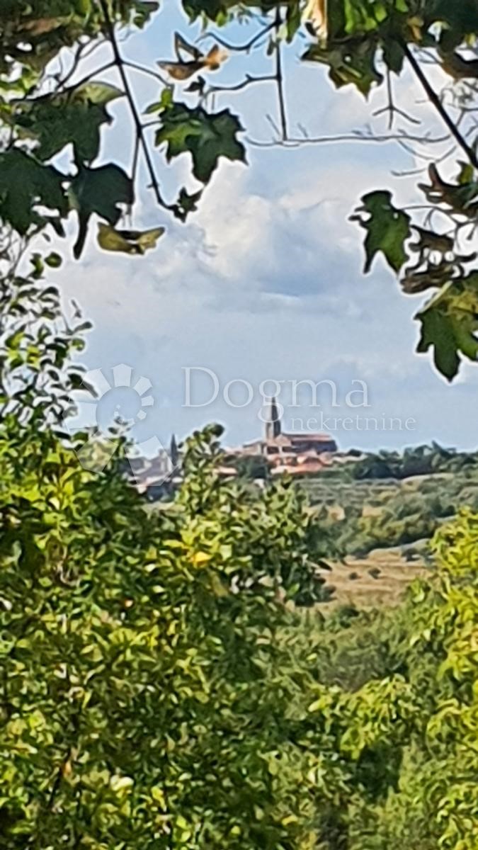 Zemljišče Buje, 18.000m2
