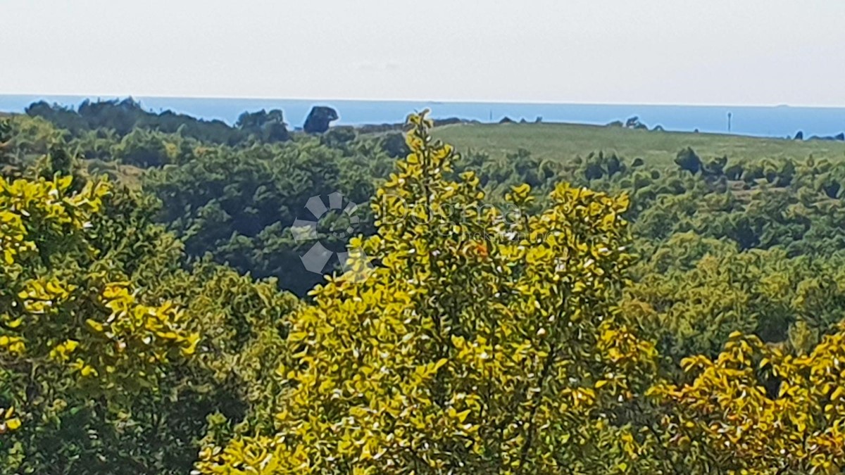 Zemljišče Buje, 18.000m2