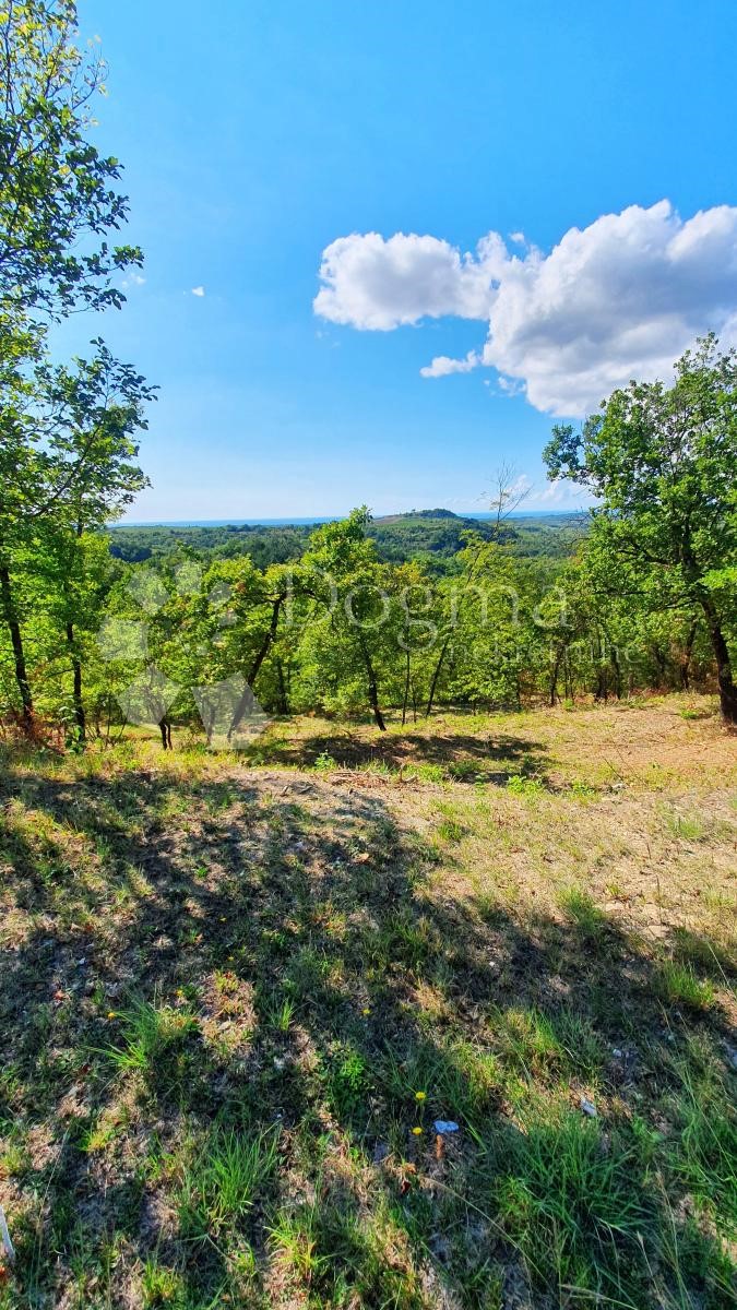 Zemljišče Buje, 18.000m2