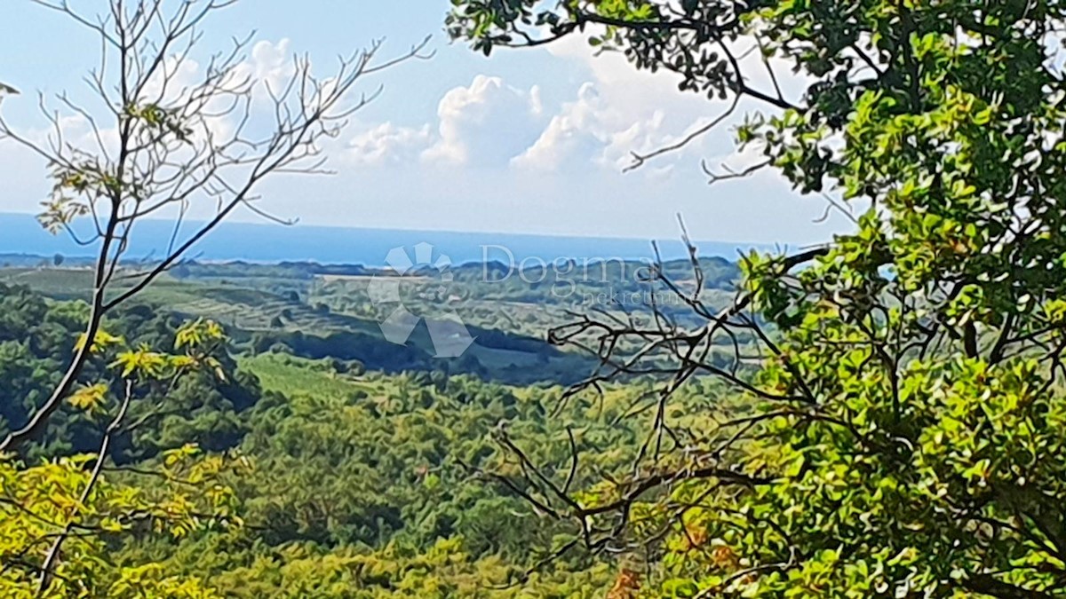 Zemljišče Buje, 18.000m2