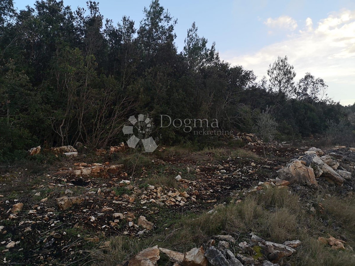 Zemljišče Čara, Korčula, 2.800m2