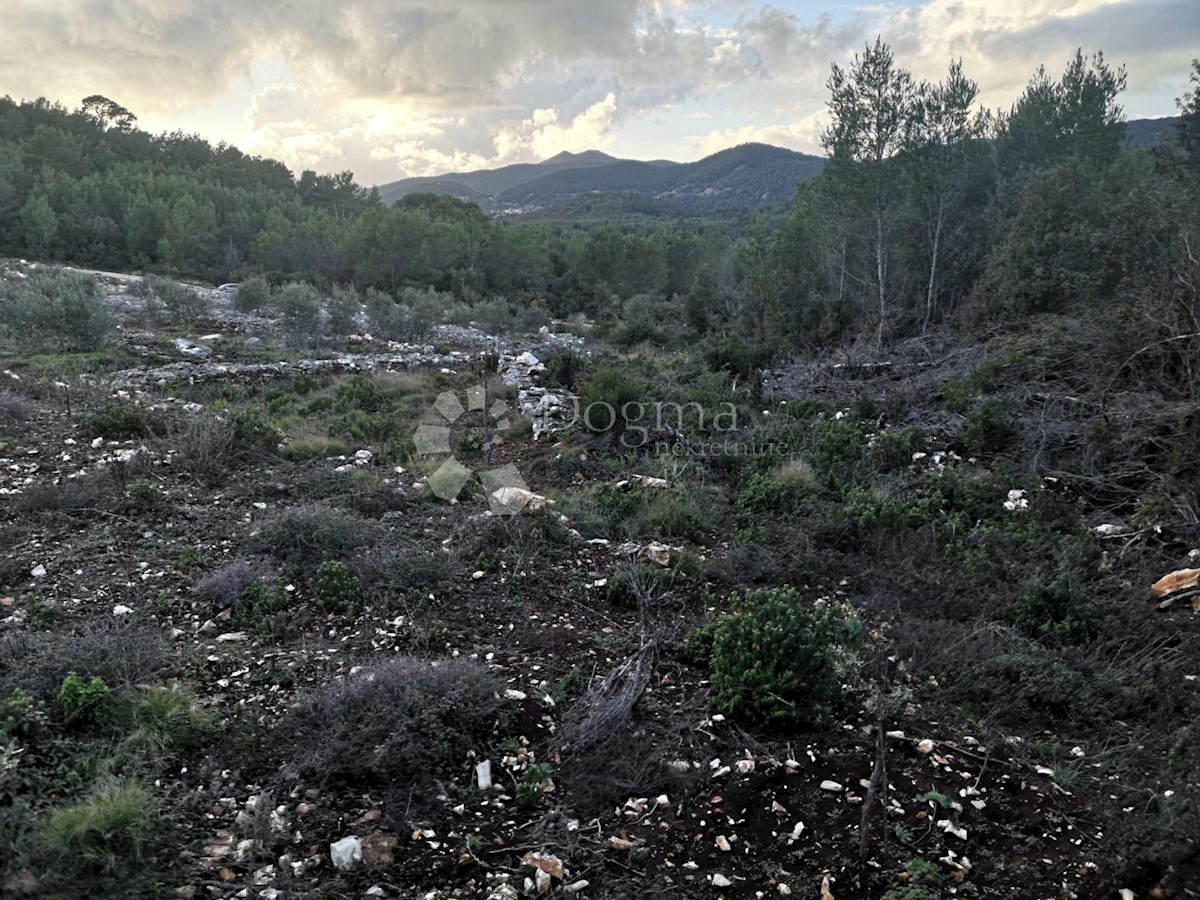 Zemljišče Čara, Korčula, 2.800m2