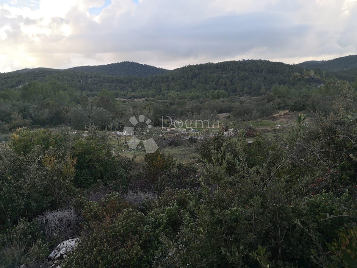 Zemljišče Čara, Korčula, 2.800m2