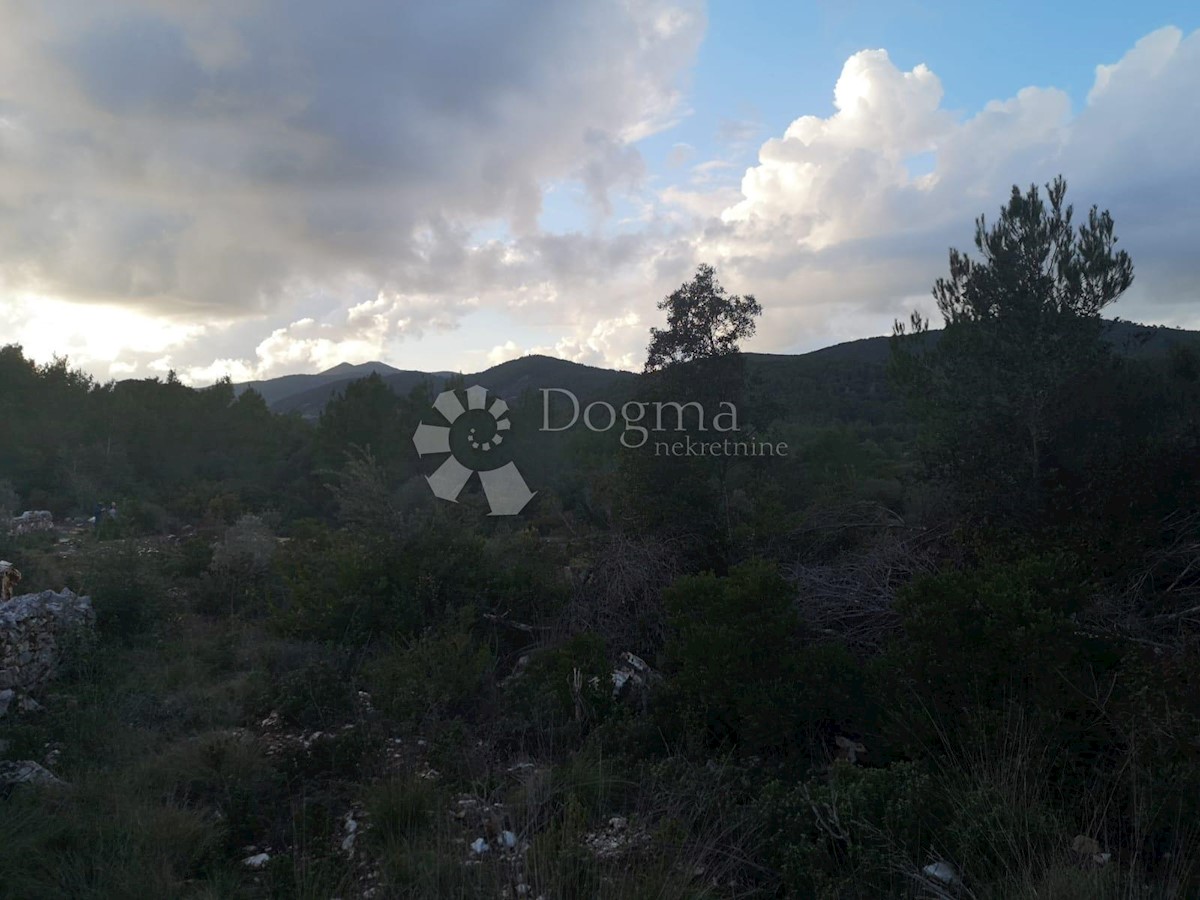 Zemljišče Čara, Korčula, 2.800m2