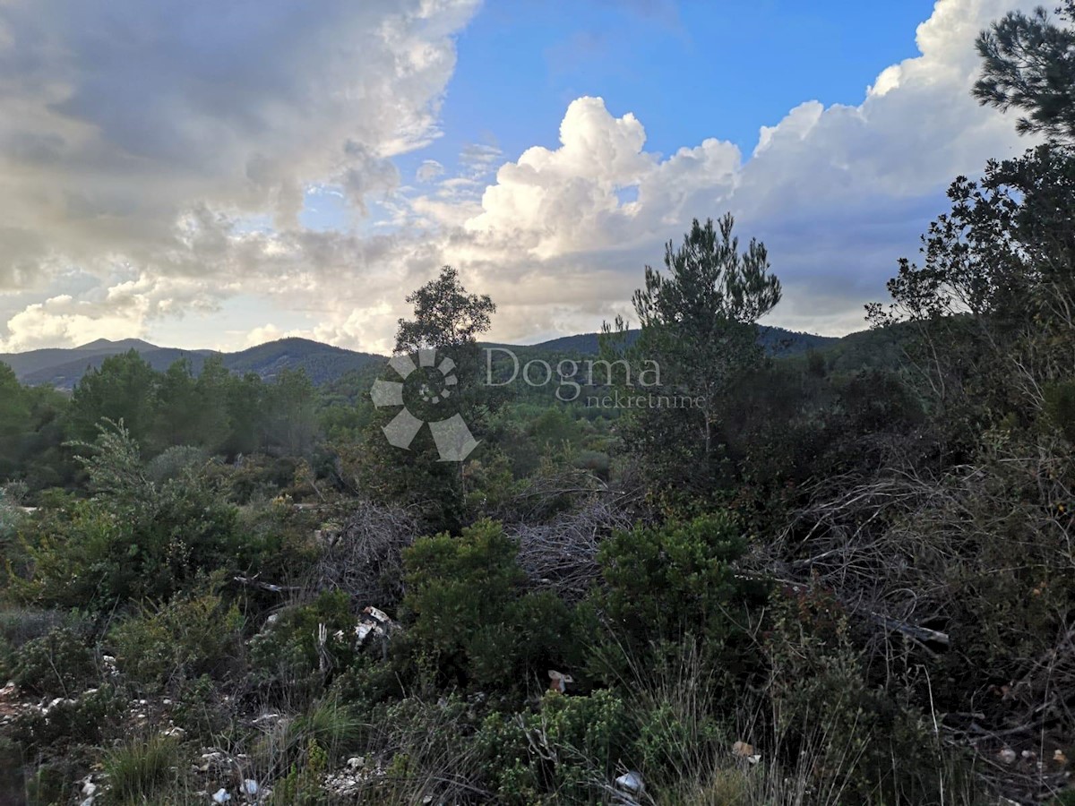 Zemljišče Čara, Korčula, 2.800m2