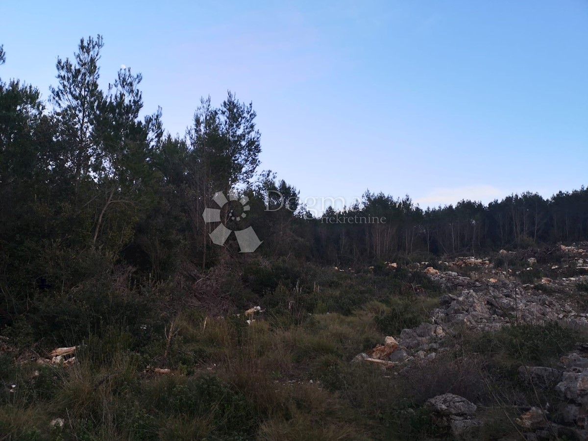 Zemljišče Čara, Korčula, 2.800m2