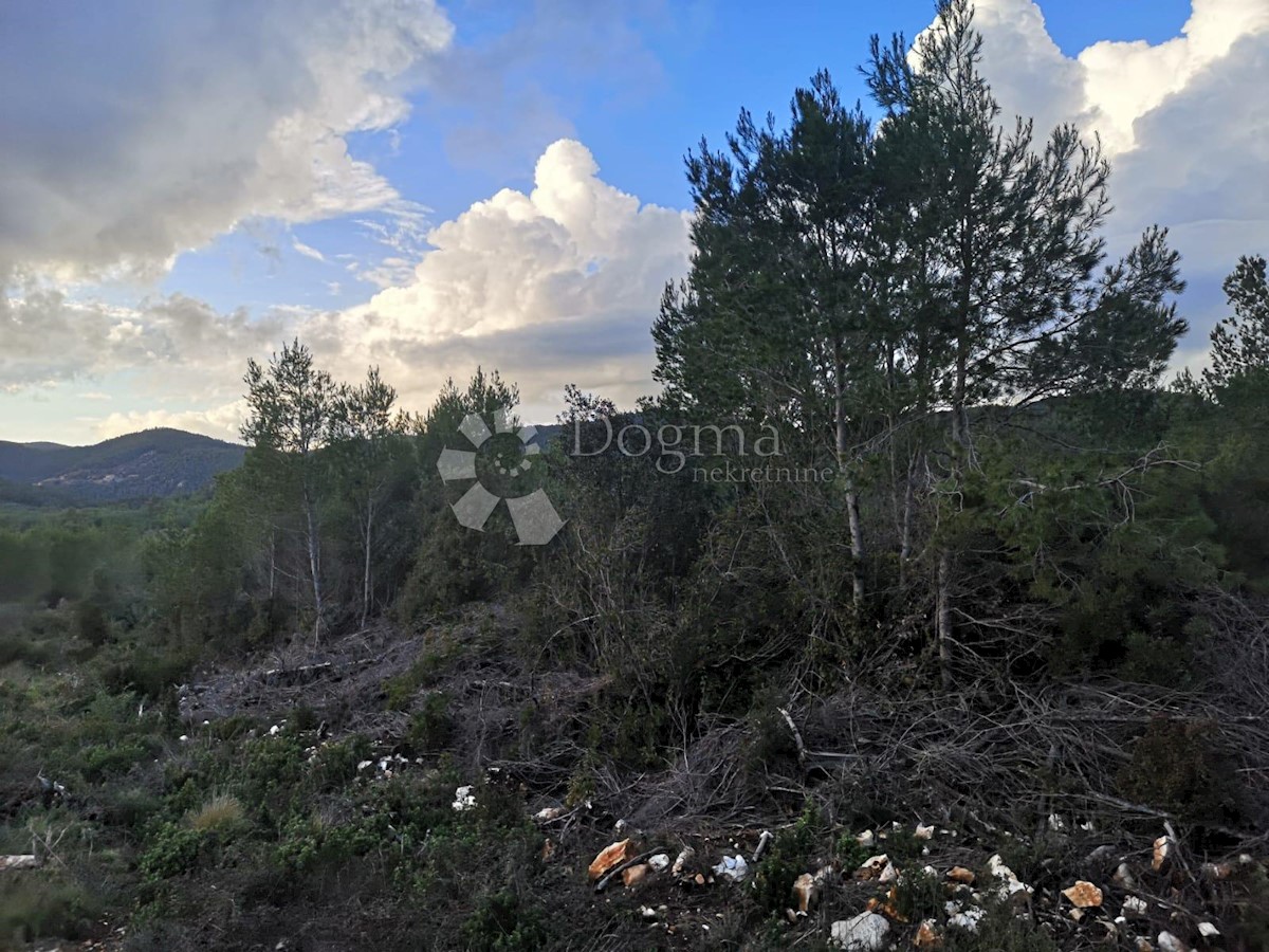 Zemljišče Čara, Korčula, 2.800m2