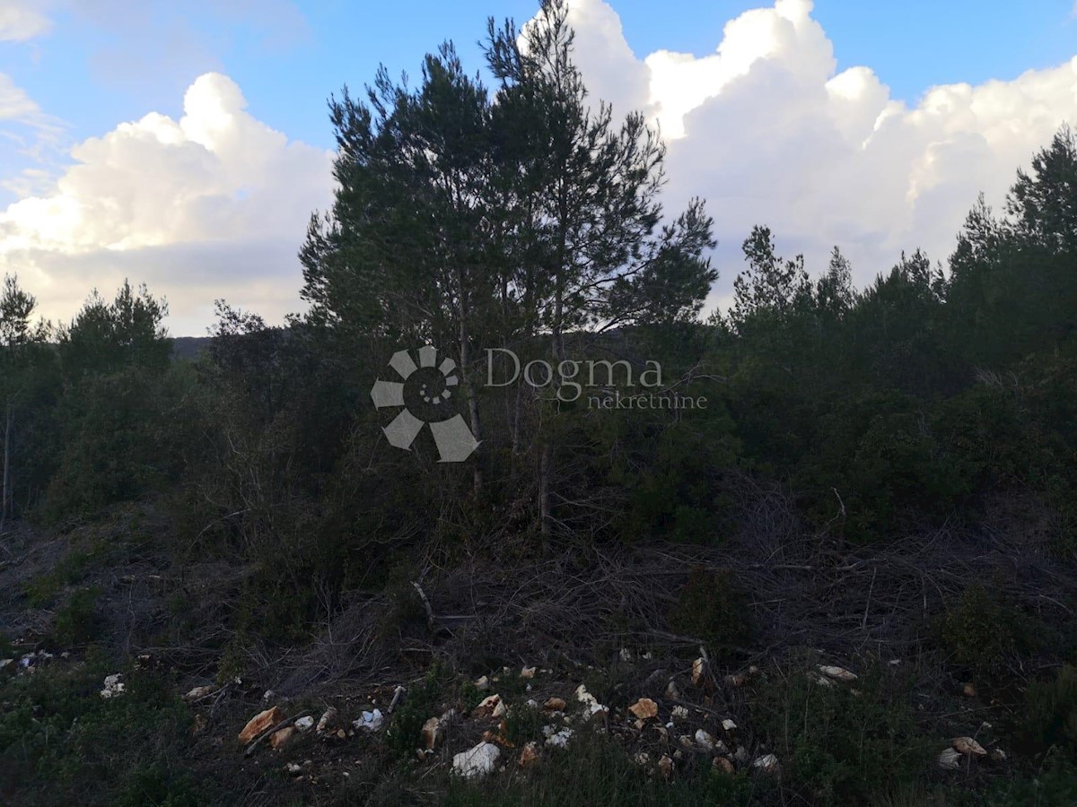 Zemljišče Čara, Korčula, 2.800m2