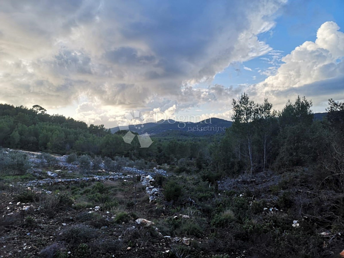 Zemljišče Čara, Korčula, 2.800m2