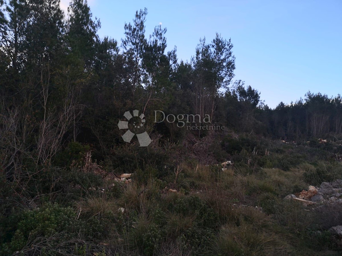 Zemljišče Čara, Korčula, 2.800m2