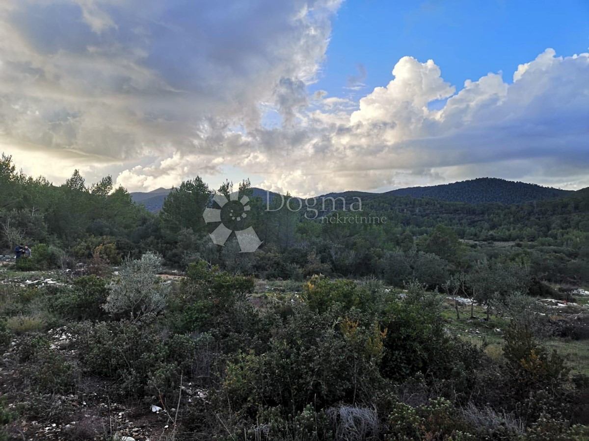 Zemljišče Čara, Korčula, 2.800m2