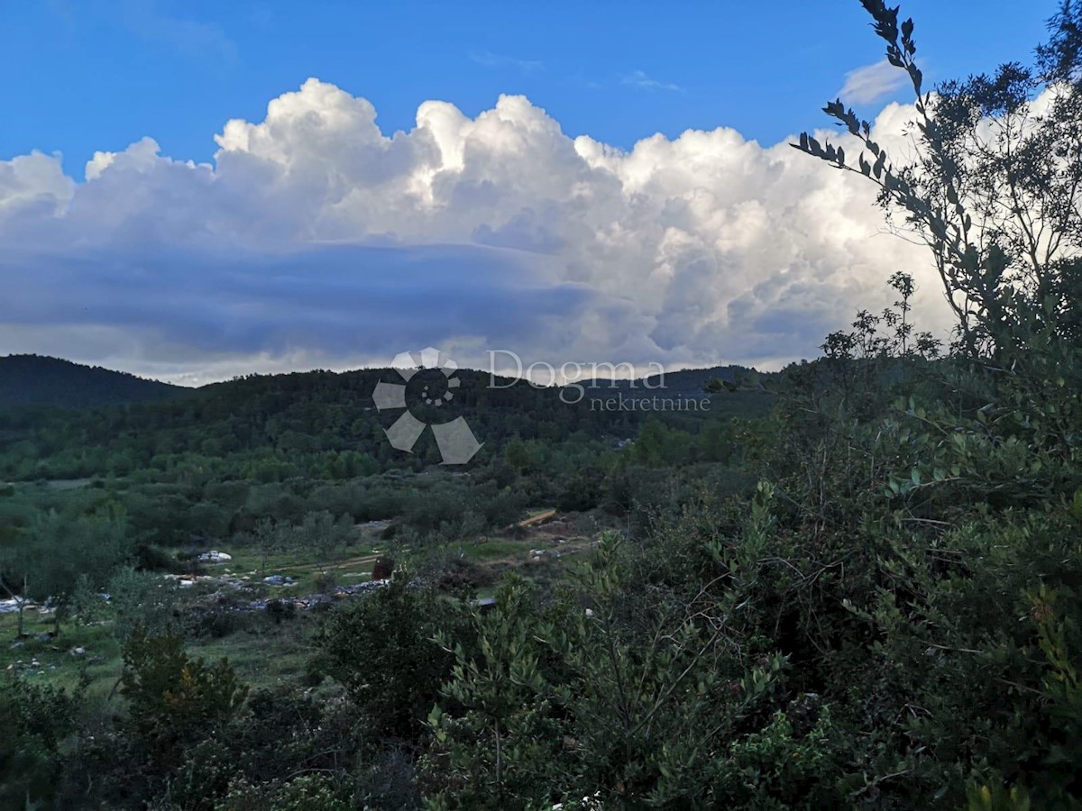 Zemljišče Čara, Korčula, 2.800m2