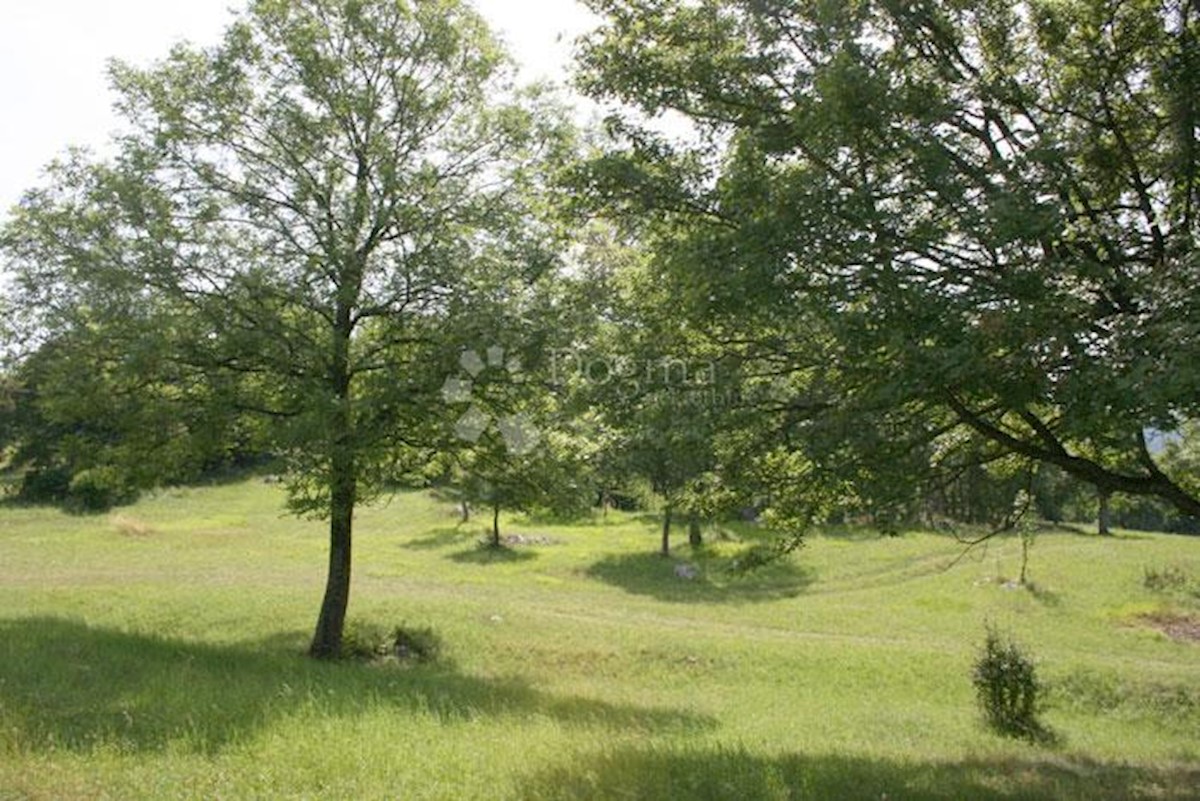 Zemljišče Vrhovine, 14.863m2