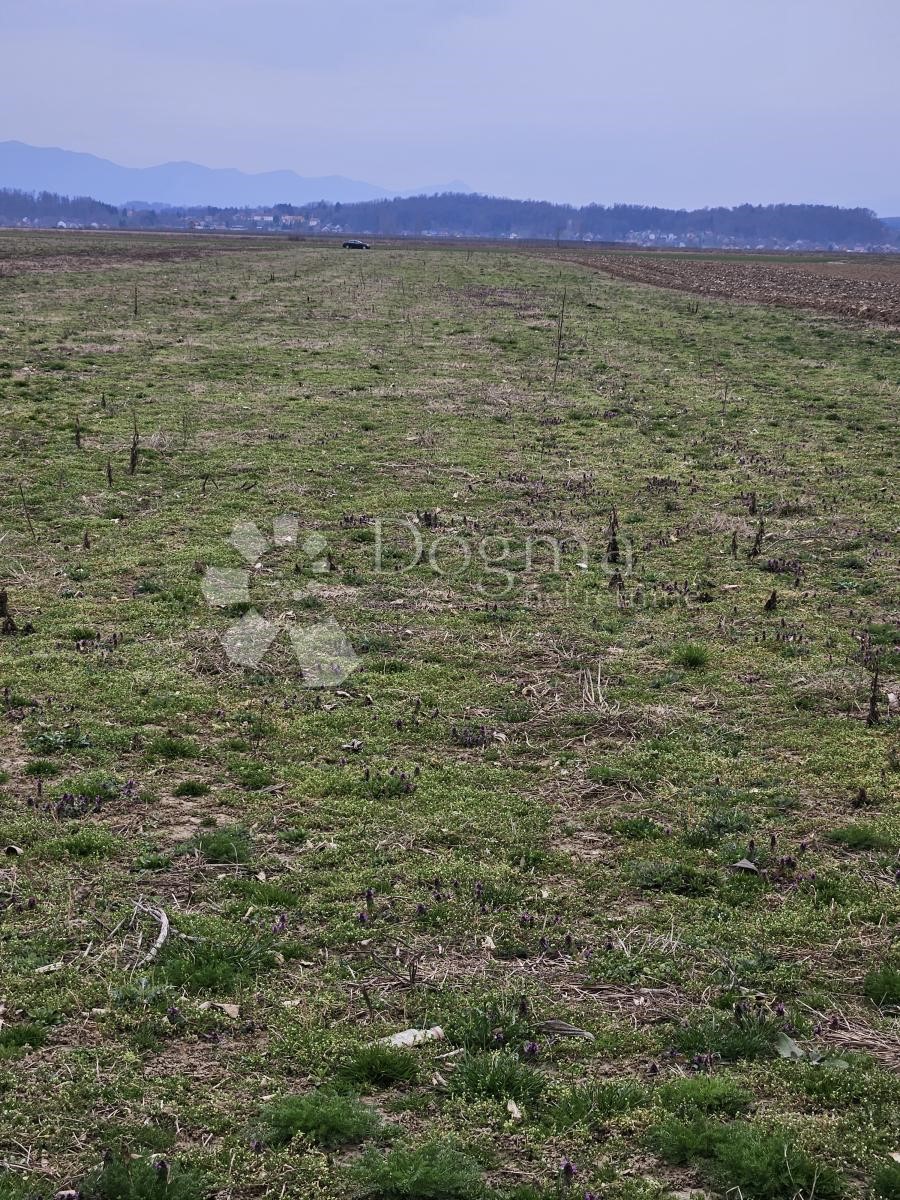 Zemljišče Nova Ves Petrijanečka, Petrijanec, 80.068m2