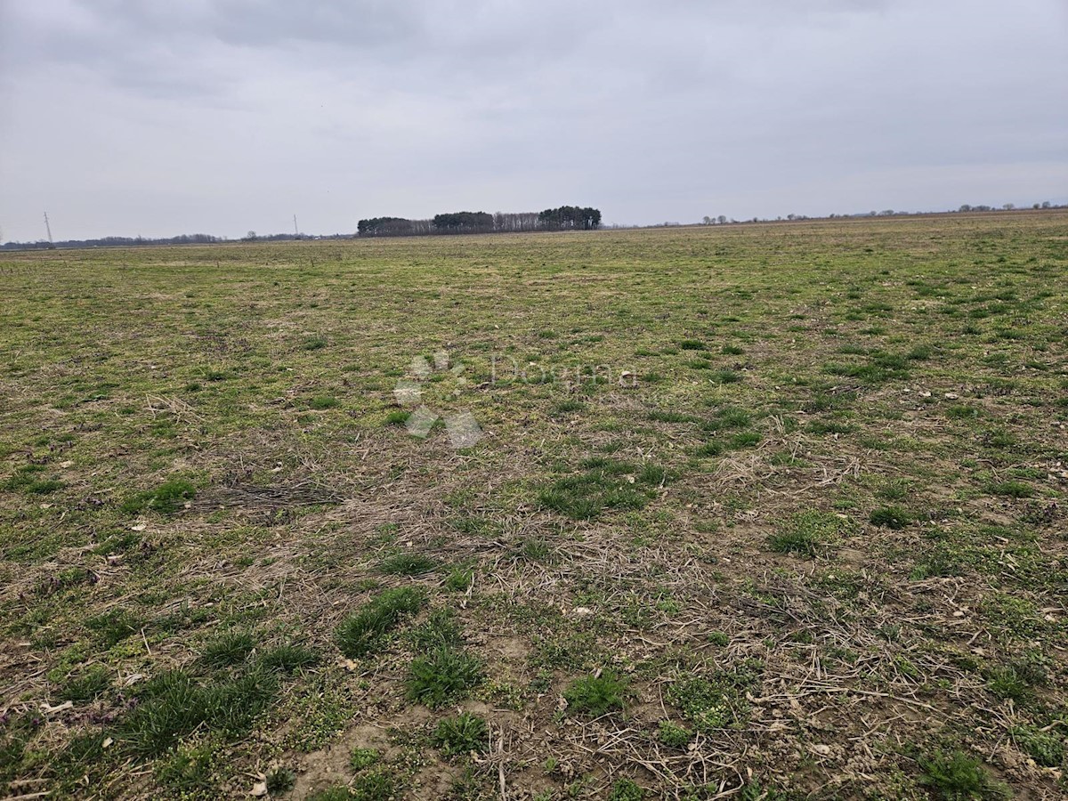 Zemljišče Nova Ves Petrijanečka, Petrijanec, 80.068m2