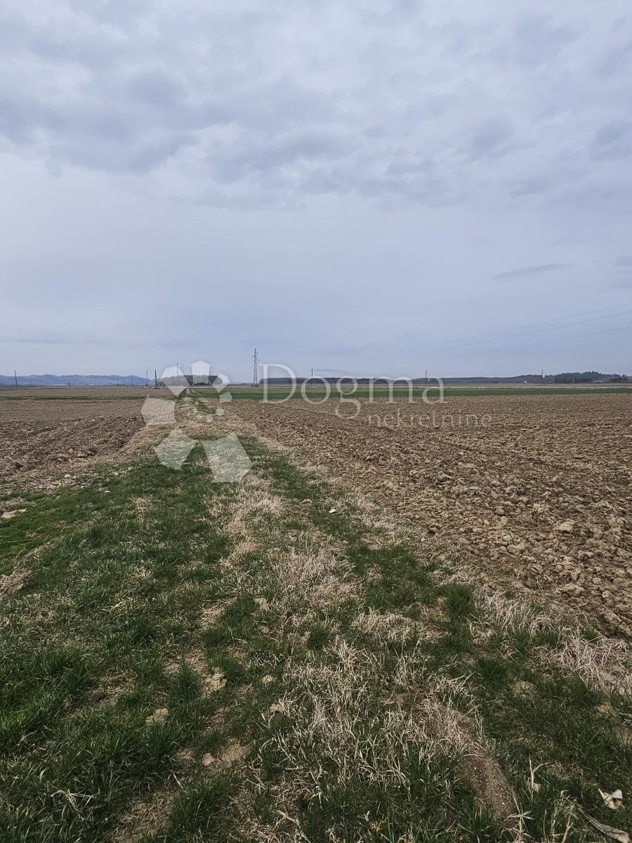 Zemljišče Nova Ves Petrijanečka, Petrijanec, 80.068m2