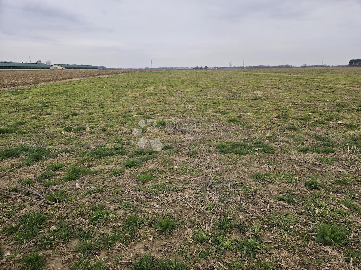 Zemljišče Nova Ves Petrijanečka, Petrijanec, 80.068m2