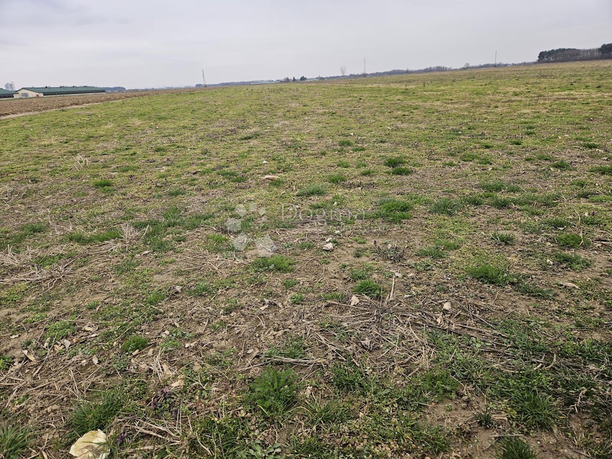 Zemljišče Nova Ves Petrijanečka, Petrijanec, 80.068m2