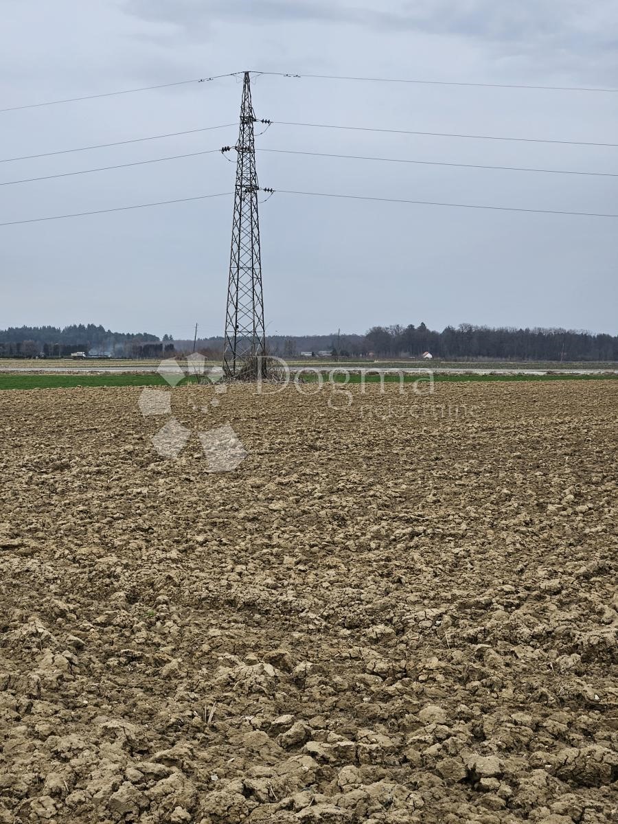 Zemljišče Nova Ves Petrijanečka, Petrijanec, 80.068m2