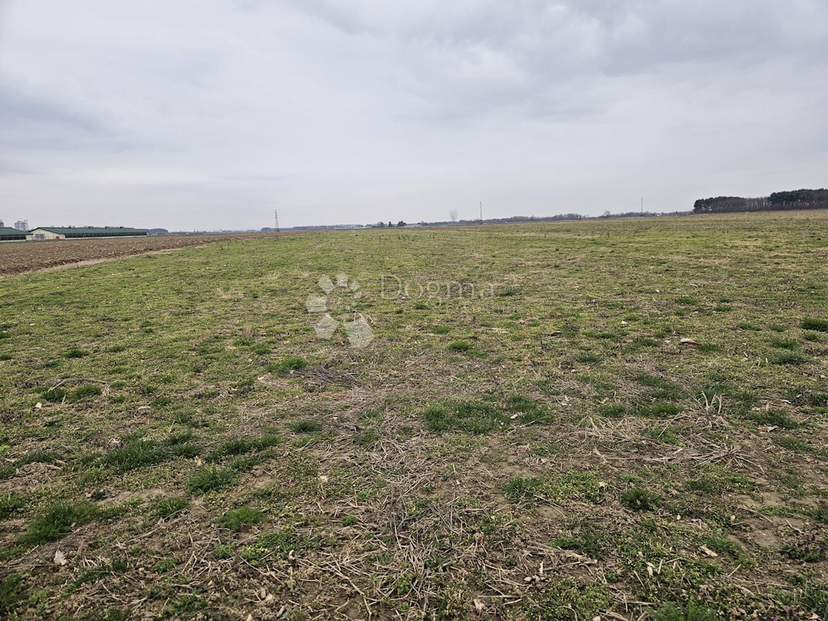 Zemljišče Nova Ves Petrijanečka, Petrijanec, 80.068m2