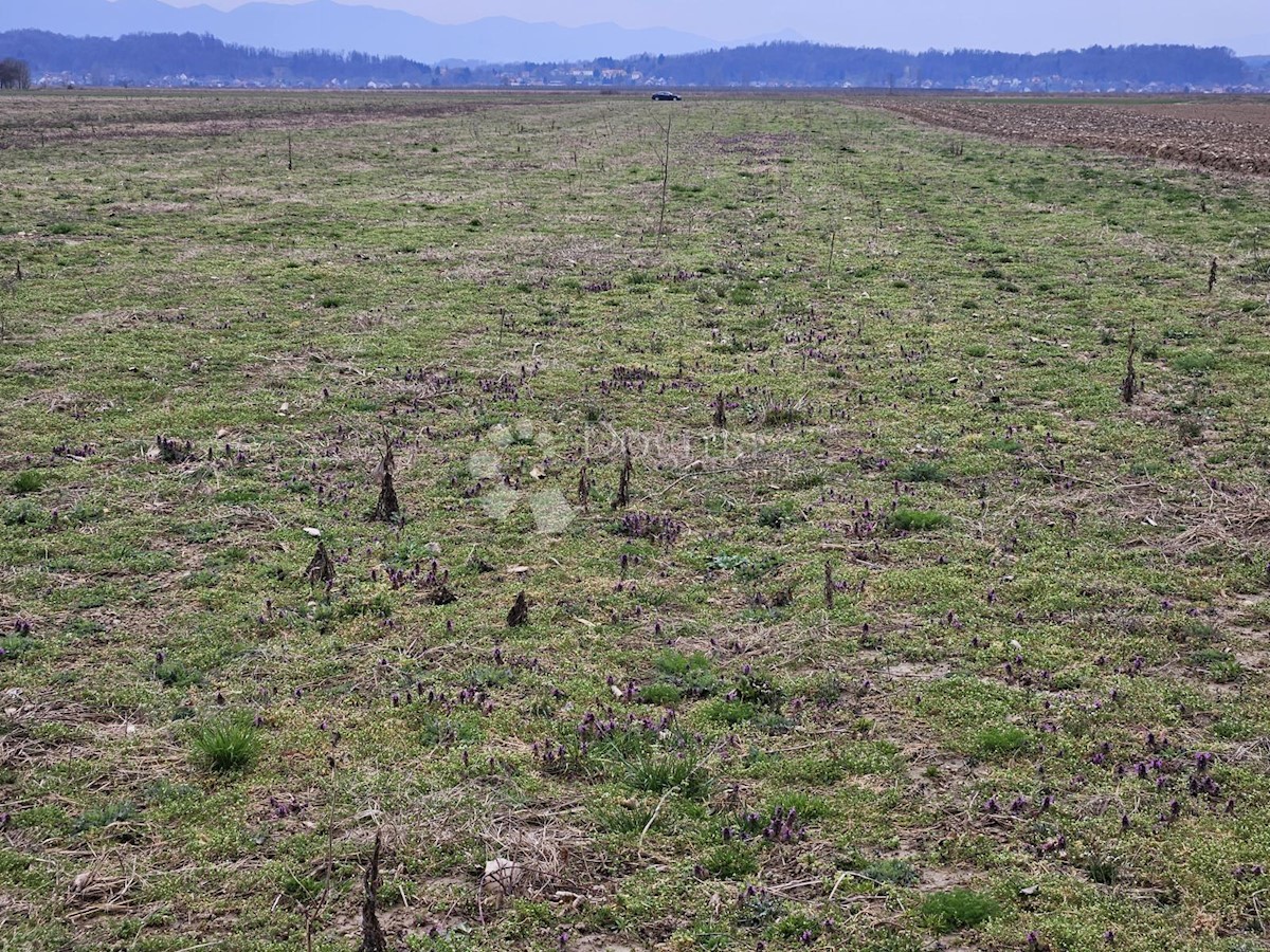 Zemljišče Nova Ves Petrijanečka, Petrijanec, 80.068m2