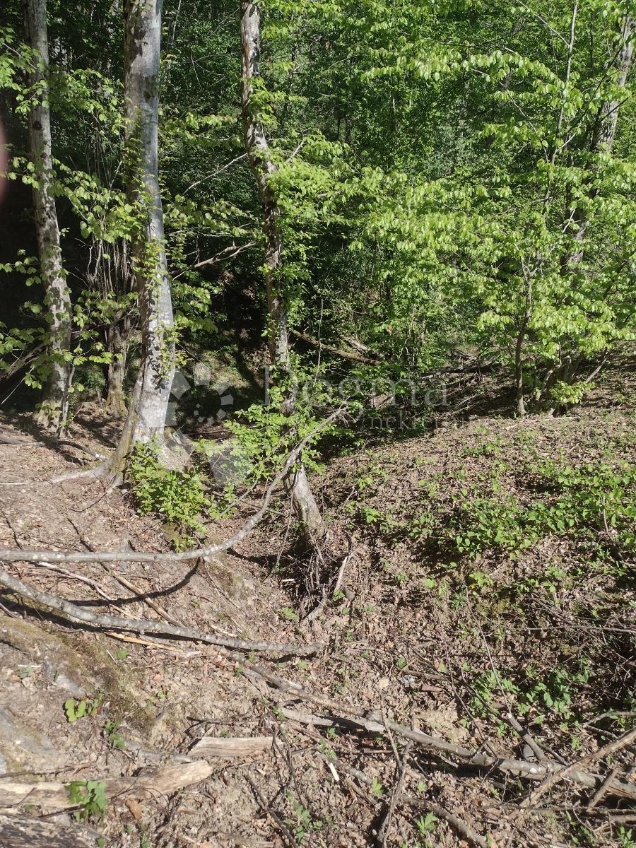 Zemljišče Dugo Selo Lasinjsko, Gvozd, 44.198m2