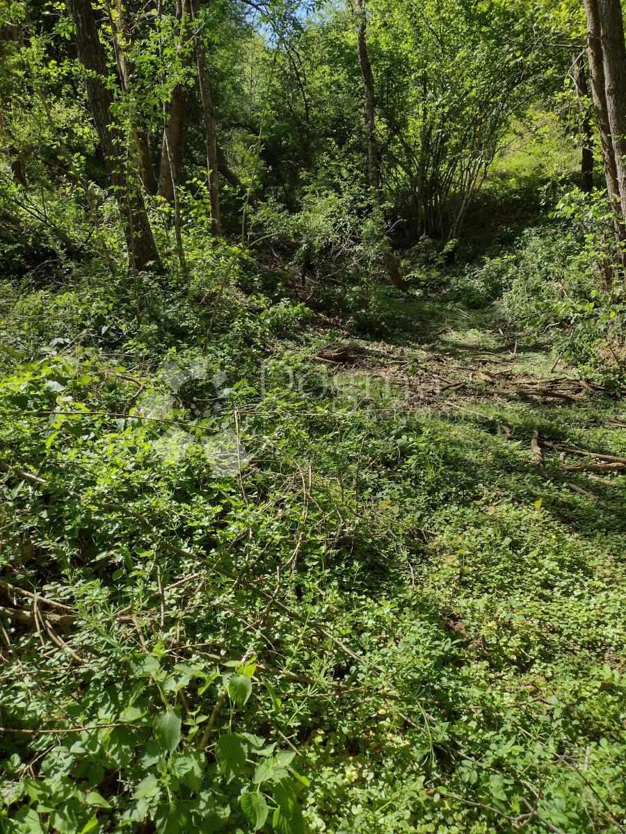 Zemljišče Dugo Selo Lasinjsko, Gvozd, 44.198m2