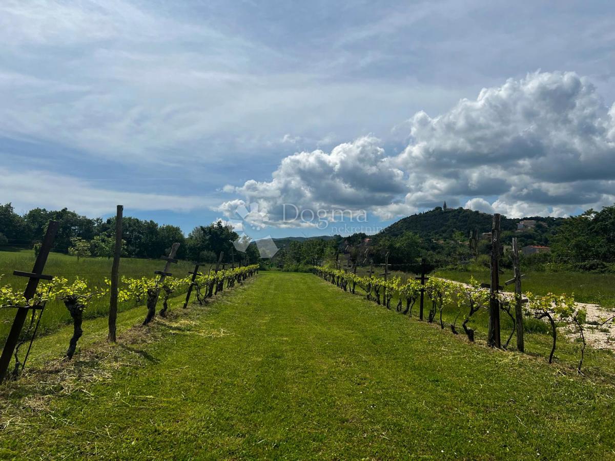 Zemljišče Labin, 1.000m2