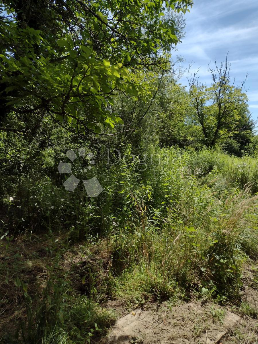 Hiša Blatuša, Gvozd, 100m2